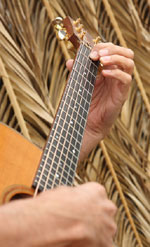 Ki Ho'alu Player